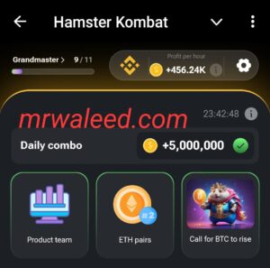 Hamster Kombat Daily Combo Card