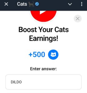 Boost your cats earning youtube video code